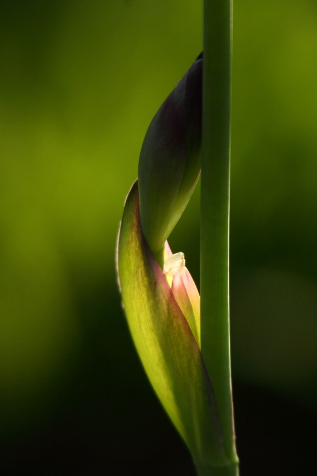 2015 05 10 HTP 000051715